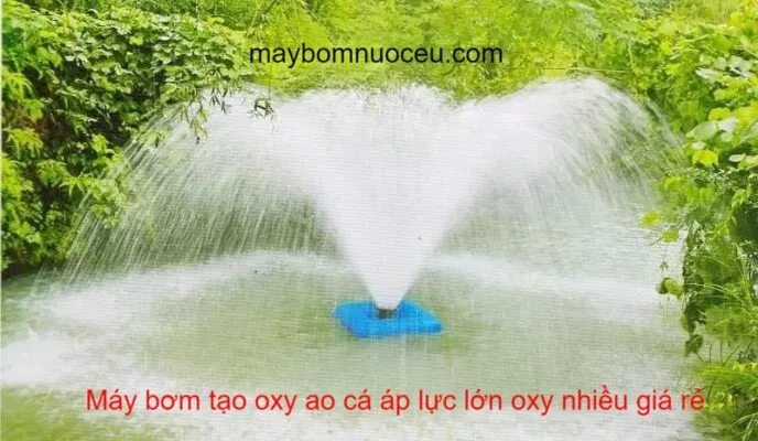 Máy tạo oxy cho ao cá Máy tạo oxy cho ao cá