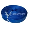Ong bat xanh phi 80